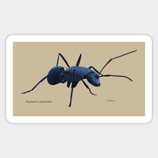 Blue ant Sticker